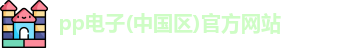 pp电子首页